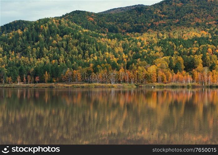 Autumn reflections of the Manjerokskoe lake, , Altai Republic, Russia. Autumn reflections lake
