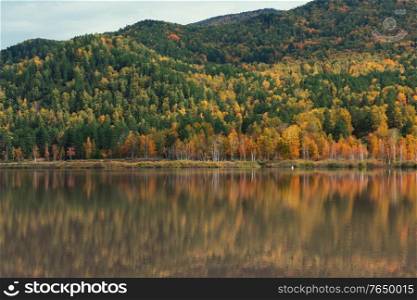 Autumn reflections of the Manjerokskoe lake, , Altai Republic, Russia. Autumn reflections lake