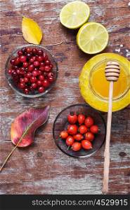 Autumn remedy with honey,rose hips and cranberries