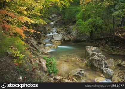 Autumn rill flow. Nature composition.
