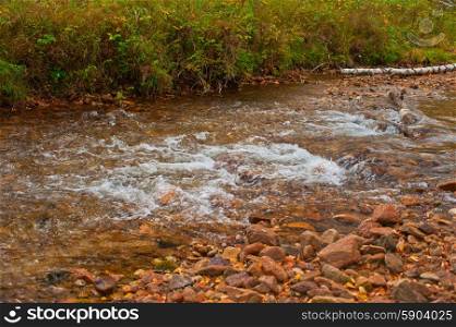 Autumn river in taiga. River at beauty autumn evening