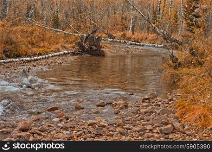 Autumn river. River at beauty autumn evening