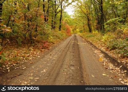 Autumn road. A photo of the nature, with soil road
