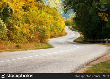 Autumn road asphalt. Nature and trafic composition.
