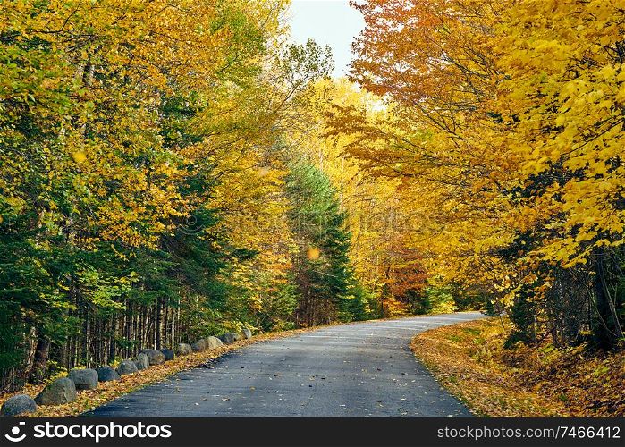 Autumn road in Maine, USA.