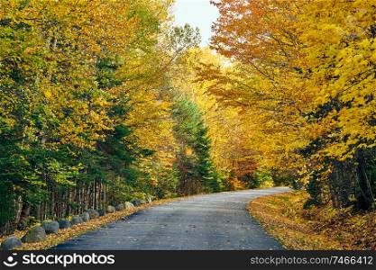 Autumn road in Maine, USA.