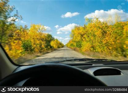 autumn road. Landscape