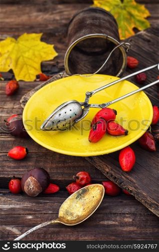 Autumn rose hips tea. Dogrose berries and maple autumn leaves against the yellow saucer