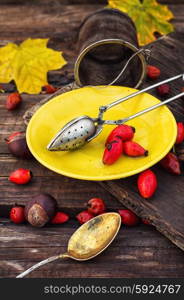 Autumn rose hips tea. Dogrose berries and maple autumn leaves against the yellow saucer