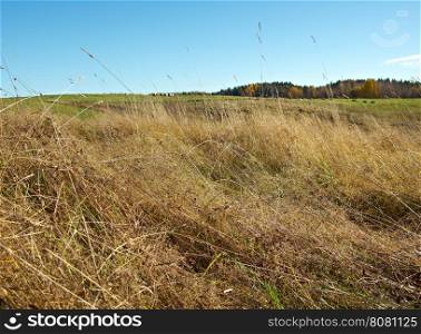 Autumn rural landscape .art rural landscape. Arkhangelsk region, Russia