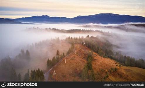 Autumn rural landscape. Cold November morning. Morning fog in mountain valley. Forest covered by low clouds. Misty fall woodland. Picturesque resort Carpathians range, Ukraine, Europe.