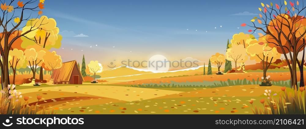 Autumn rural landscape in evening light with sunset, blue and orange sky background, illustration Cartoon fall season at countryside with forest tree and grass field with sunrise,Backdrop natural banner