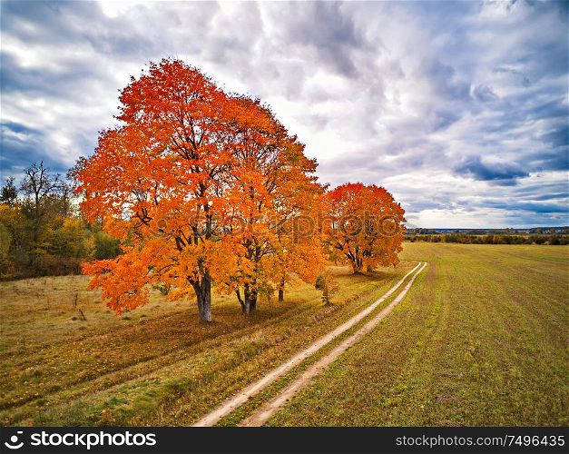 Autumn rural scene. Old park with red maples trees, agriculture field and dirt country road. Fall season weather cloudy sky. Nadneman park, Belarus