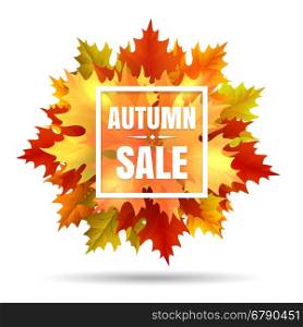 Autumn sale illustration with leaf fall. Autumn sale vector illustration with leaf fall. Season october or november fall in prices banner