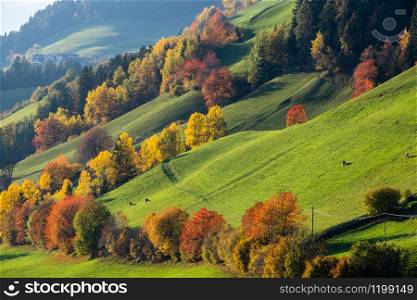 Autumn Santa Magdalena famous Italy Dolomites mountain village environs hills. Picturesque traveling, seasonal and countryside beauty concept background.