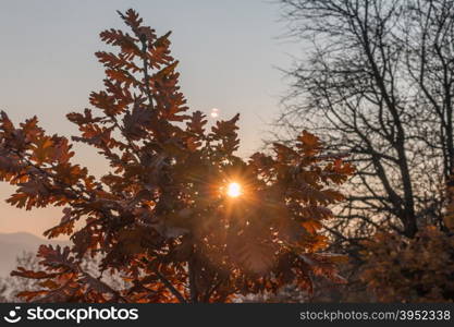 autumn scene