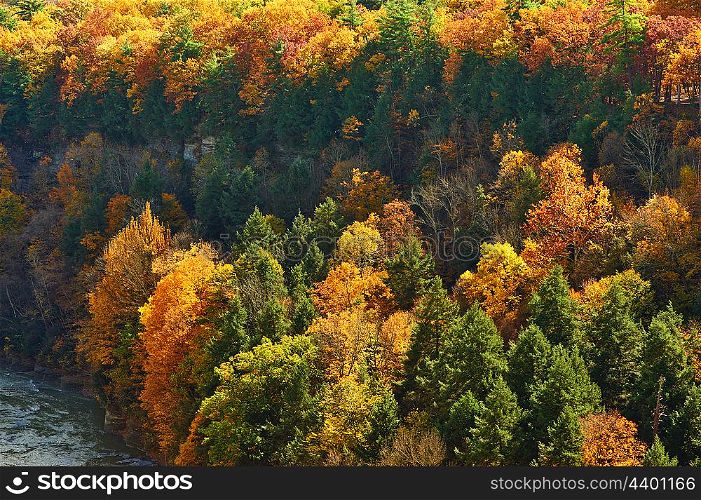 Autumn scene at Letchworth State Park