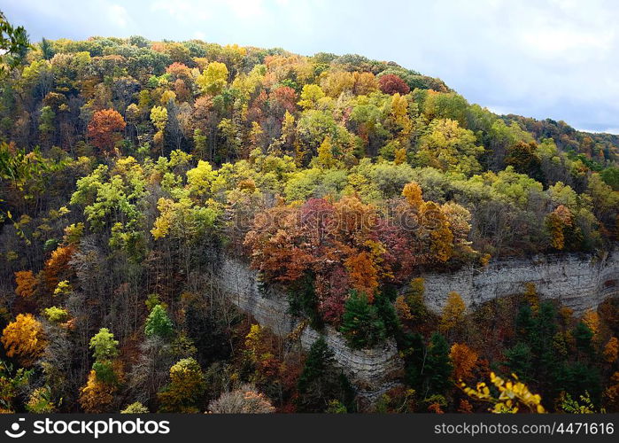 Autumn scene at Letchworth State Park