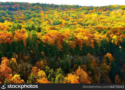 Autumn scene at Letchworth State Park