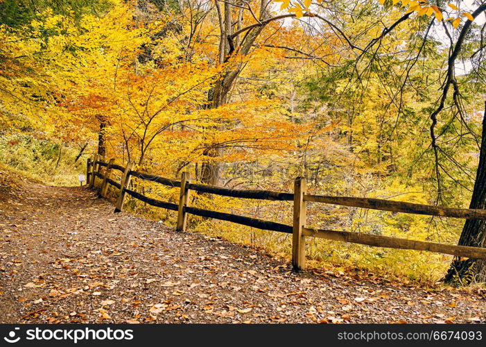 Autumn scene. Autumn scene landscape at Letchworth State Park