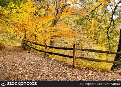 Autumn scene. Autumn scene landscape at Letchworth State Park