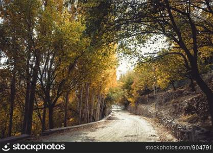 Autumn scene in Gilgit Baltistan, Pakistan.