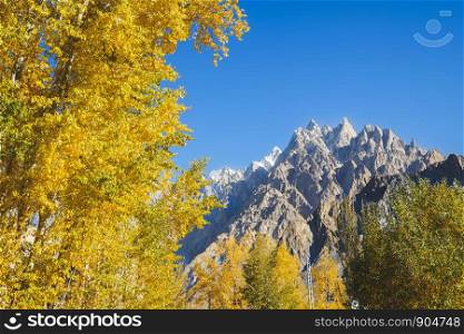 Autumn scene in Passu with yellow leaves trees and Passu cones mountain peaks in Karakoram range. Gojal Hunza Gilgit Baltistan, Pakistan.