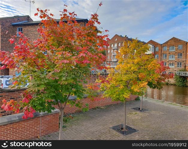 Autumn scene in the center of Leeds in England with beautifully colored maple trees dressed in fall colors in the foreground.