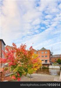 Autumn scene in the center of Leeds in England with beautifully colored maple trees dressed in fall colors in the foreground.