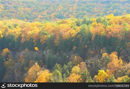 Autumn scene landscape at Letchworth State Park