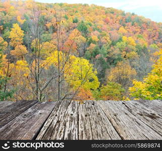 Autumn scene landscape at Robert H. Treman State Park
