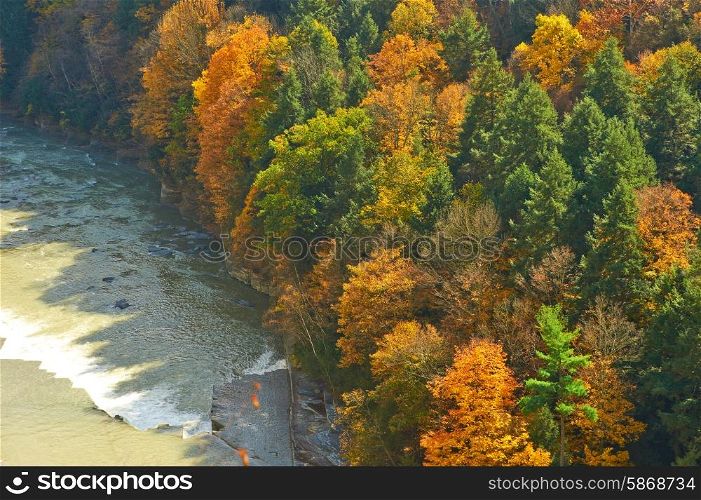 Autumn scene landscape of river and forest at Letchworth State Park