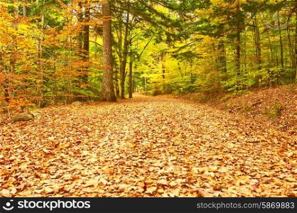Autumn scene landscape somewhere in New England