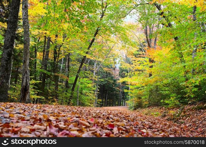Autumn scene landscape somewhere in New England