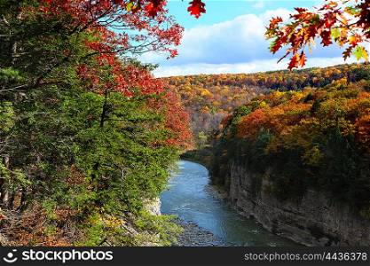 Autumn scene of river and forest at Letchworth State Park