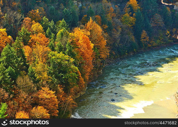 Autumn scene of river and forest at Letchworth State Park