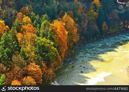 Autumn scene of river and forest at Letchworth State Park