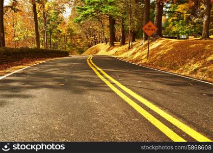 Autumn scene with road in forest at Letchworth State Park