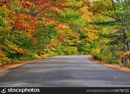 Autumn scene with road in in White Mountain National Forest, New Hampshire, USA. Fall in New England. 