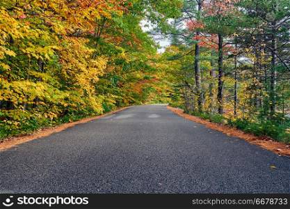Autumn scene with road in in White Mountain National Forest, New Hampshire, USA. Fall in New England.