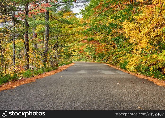Autumn scene with road in in White Mountain National Forest, New Hampshire, USA. Fall in New England.