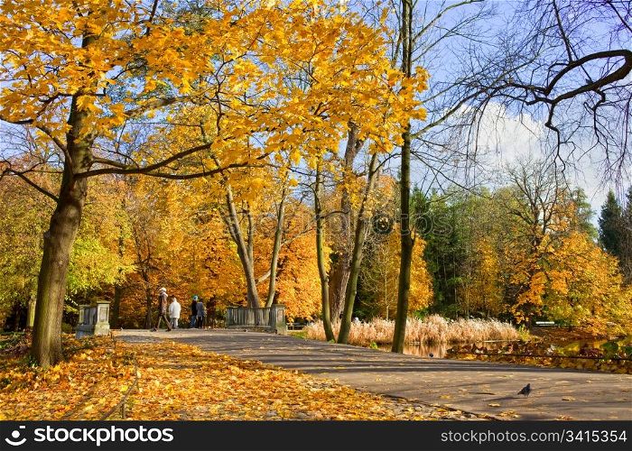 Autumn scenery of the Lazienki Royal Park in Warsaw, Poland
