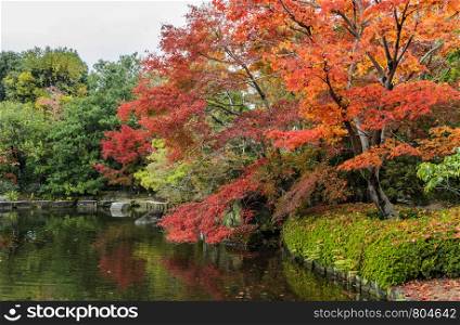 Autumn scenery with red maple trees and pond of Kokoen garden in Himeji, Japan
