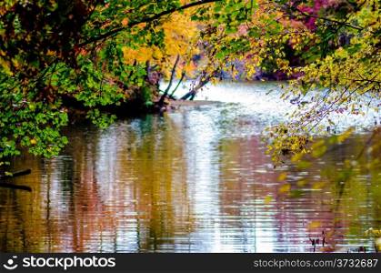 autumn season at a lake wylie north carolina