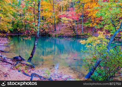 autumn season at a lake wylie north carolina