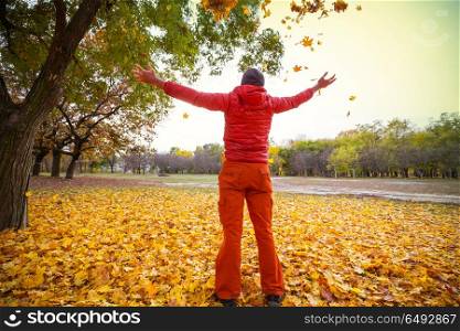 Autumn season. Autumn scene in yellow tones