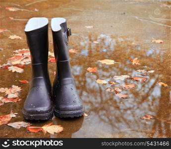 Autumn season concept image of wellington boots standing amongst golden leaves and rain puddles