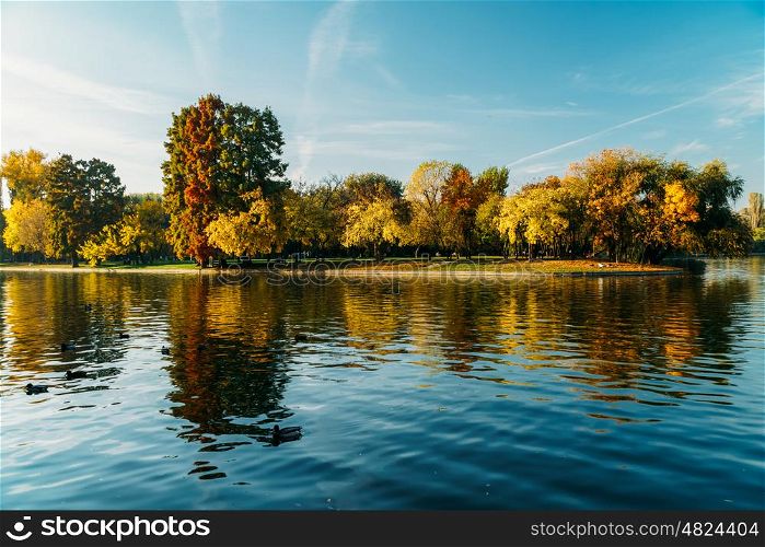 Autumn Season In Bucharest Park Landscape