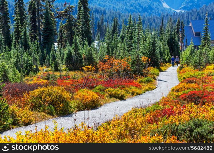 autumn season in mountains