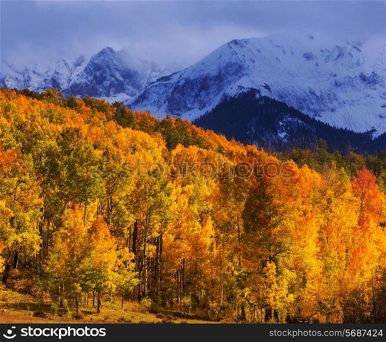 autumn season in mountains
